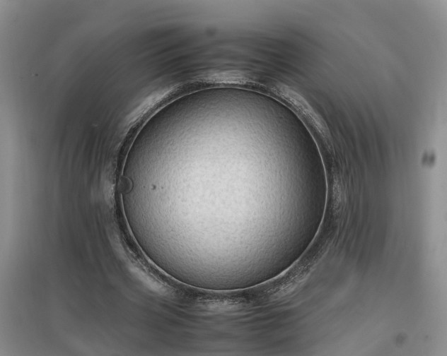 X0000097000533200802151416