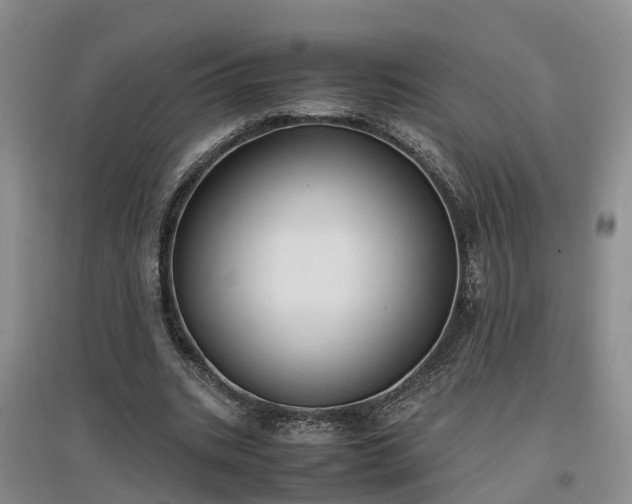 X0000097000535200802151416