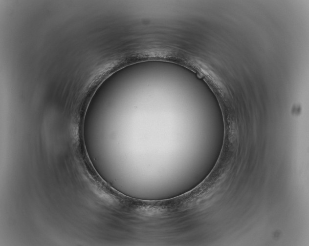 X0000097000537200802151416
