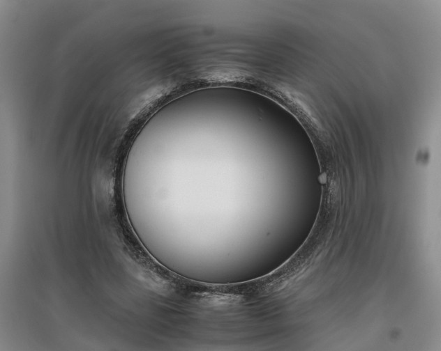 X0000097000539200802151416