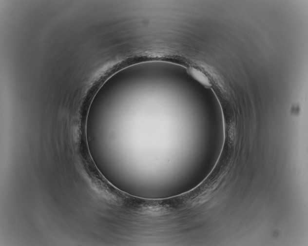 X0000097000540200802151416