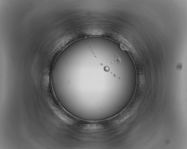 X0000097000541200802151416