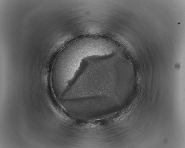 X0000097000542200802151416