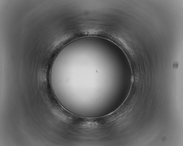X0000097000543200802151416