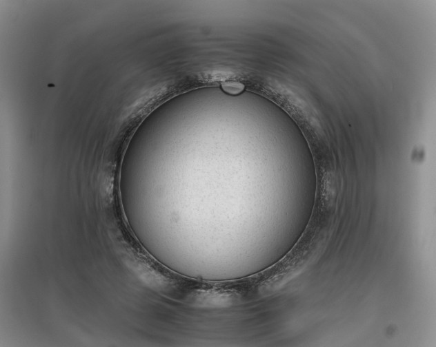 X0000097000545200802151416