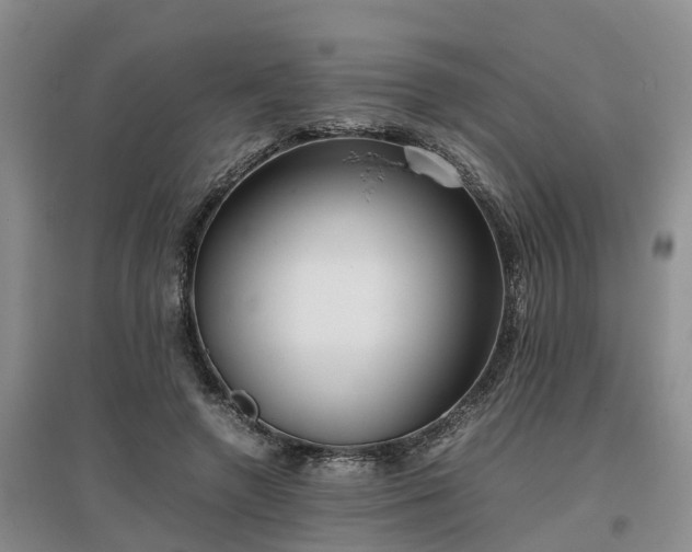 X0000097000546200802151416