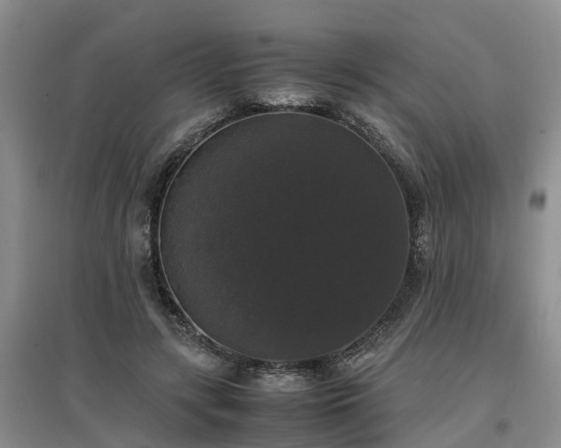 X0000097000547200802151416