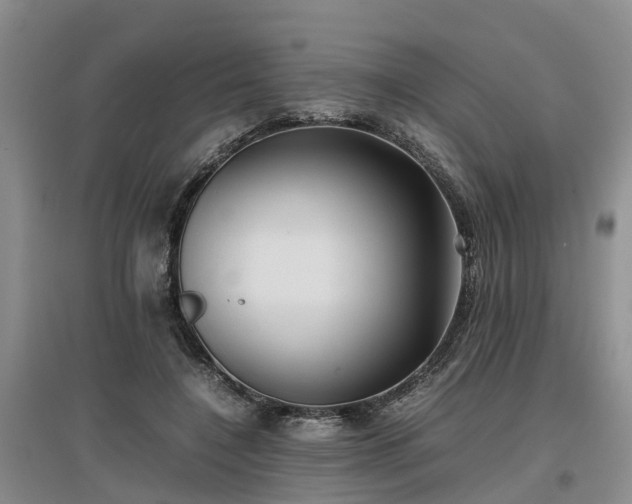 X0000097000548200802151416