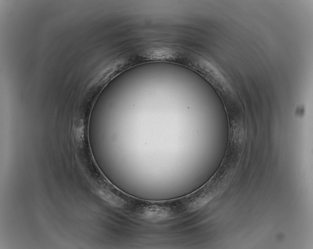 X0000097000549200802151416