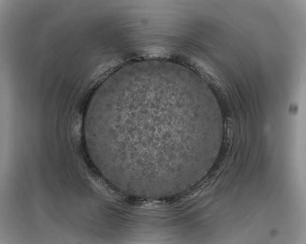 X0000097000550200802151416