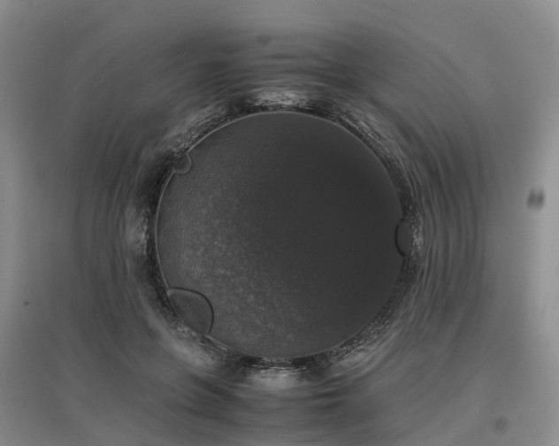 X0000097000551200802151416