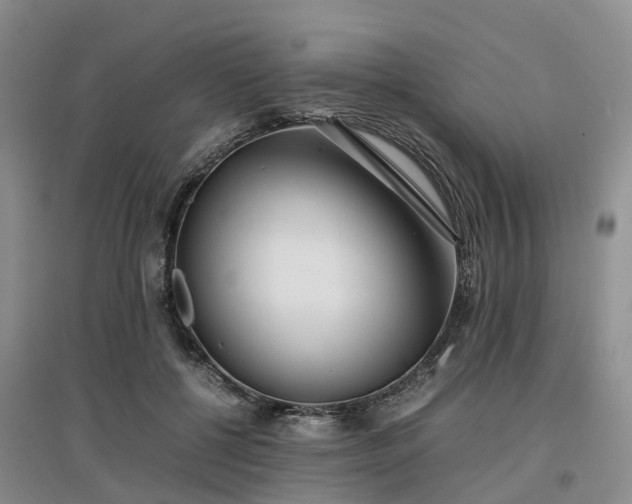 X0000097000552200802151416