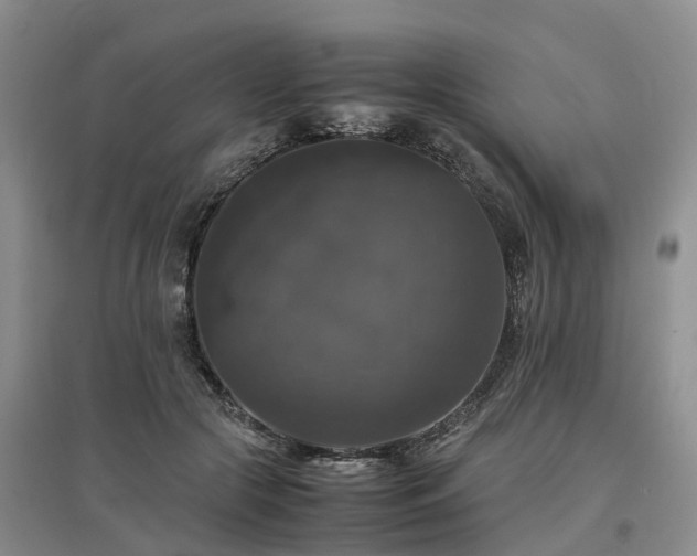 X0000097000553200802151416