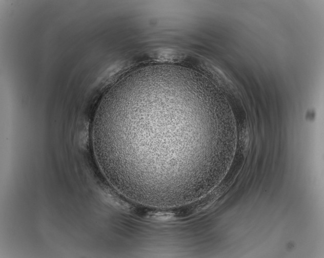 X0000097000554200802151416