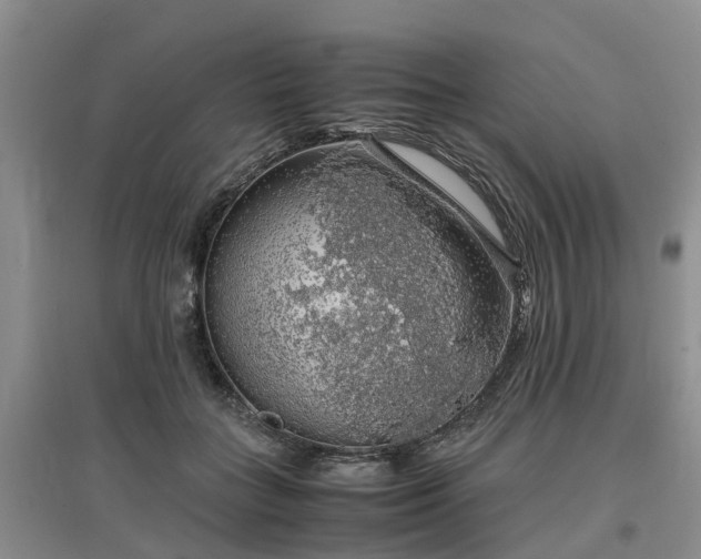 X0000097000555200802151416