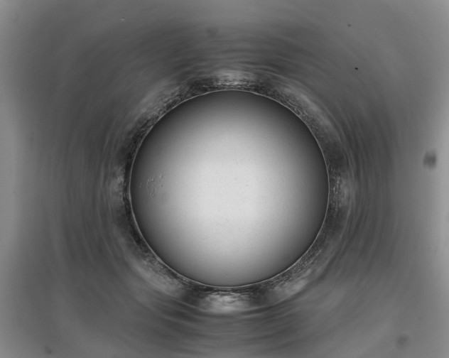 X0000097000557200802151416
