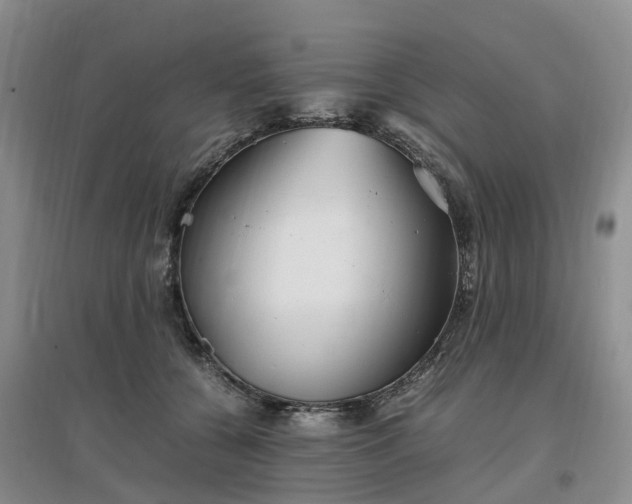 X0000097000560200802151417