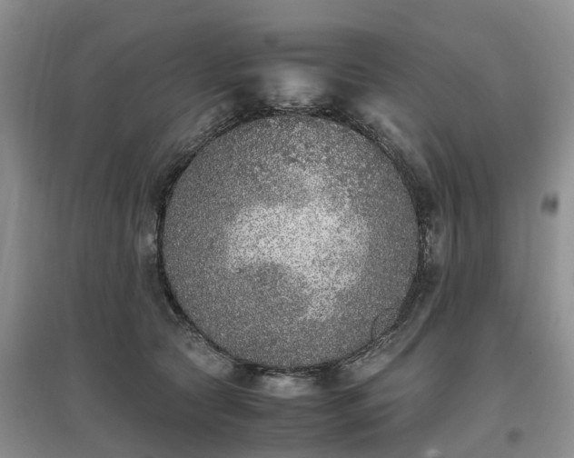 X0000097000561200802151417
