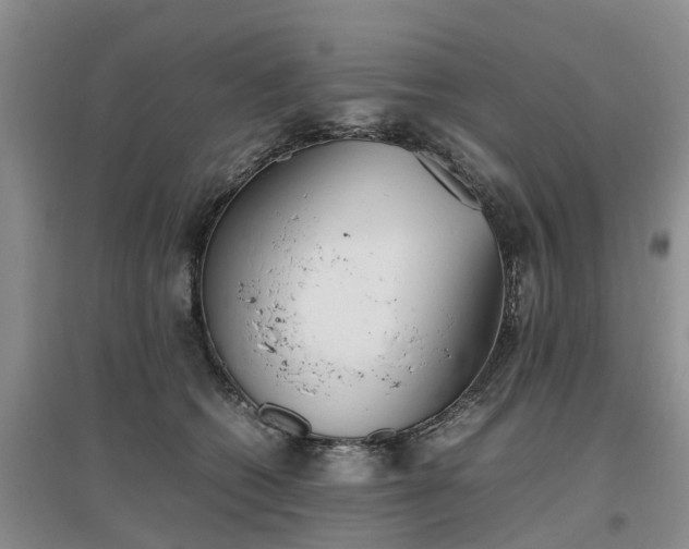 X0000097000562200802151417