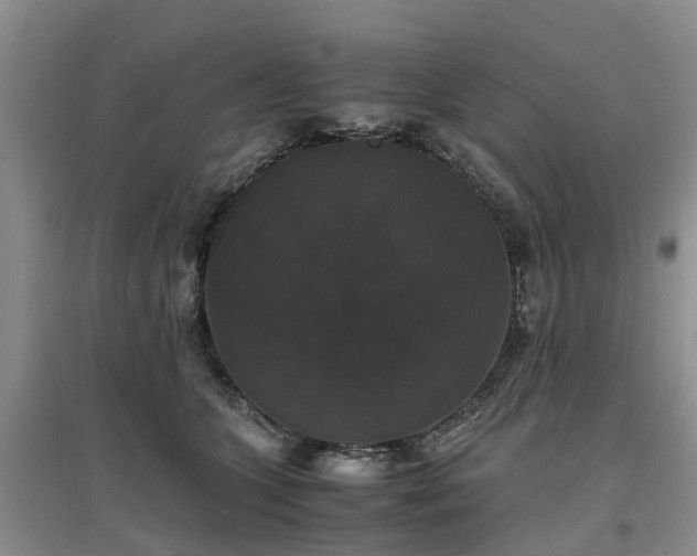 X0000097000563200802151417