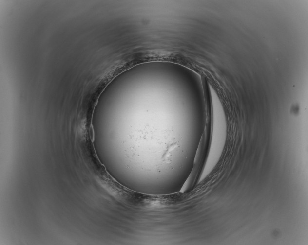 X0000097000564200802151417