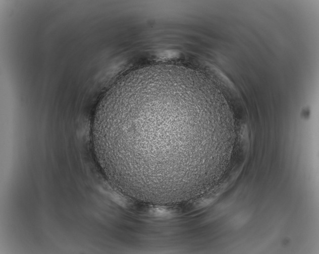 X0000097000565200802151417