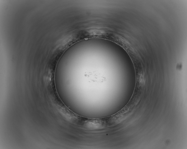 X0000097000567200802151417