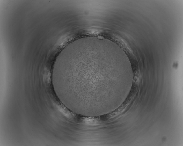 X0000097000568200802151417