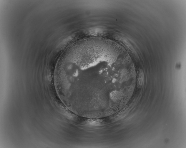 X0000097000569200802151417