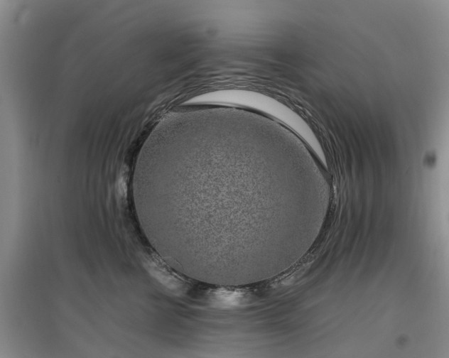 X0000097000570200802151417