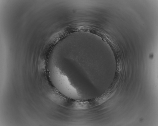 X0000097000571200802151417