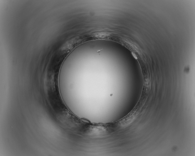 X0000097000572200802151417