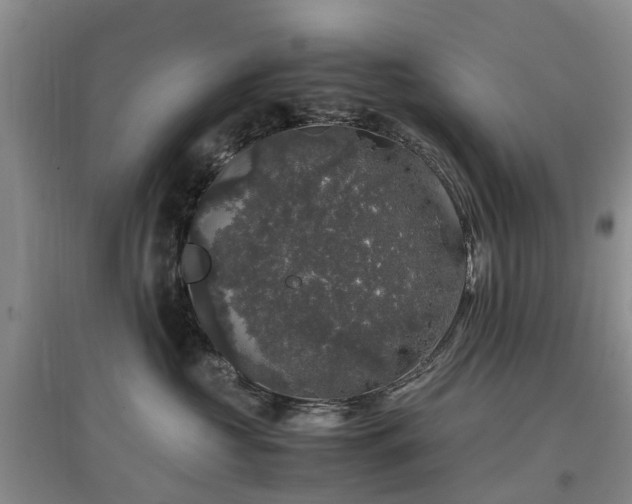 X0000097000573200802151417