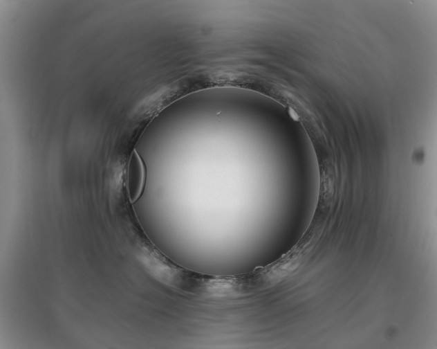 X0000097000574200802151417