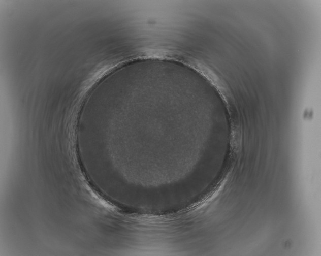 X0000097000577200802151416