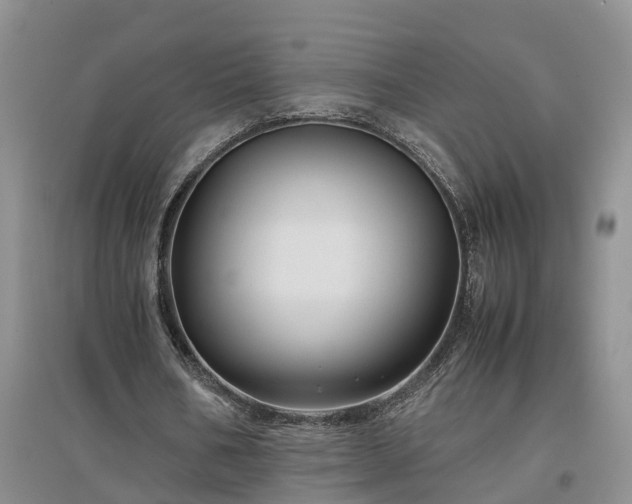 X0000097000578200802151416