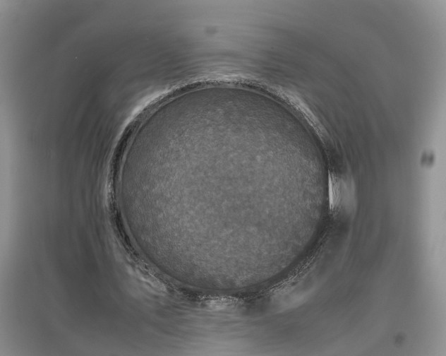 X0000097000579200802151416