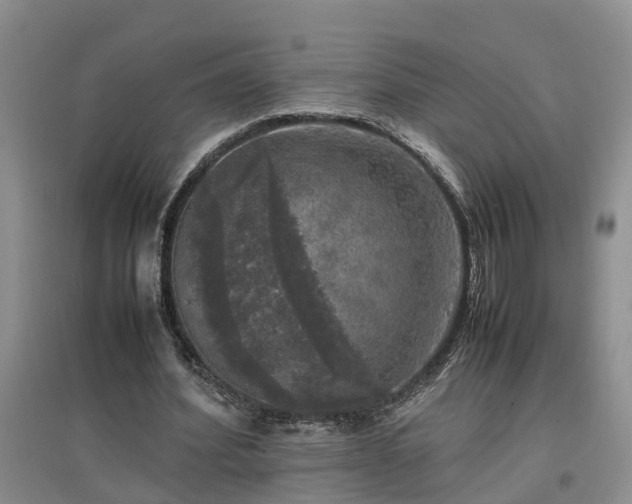 X0000097000580200802151416