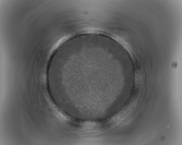 X0000097000581200802151416