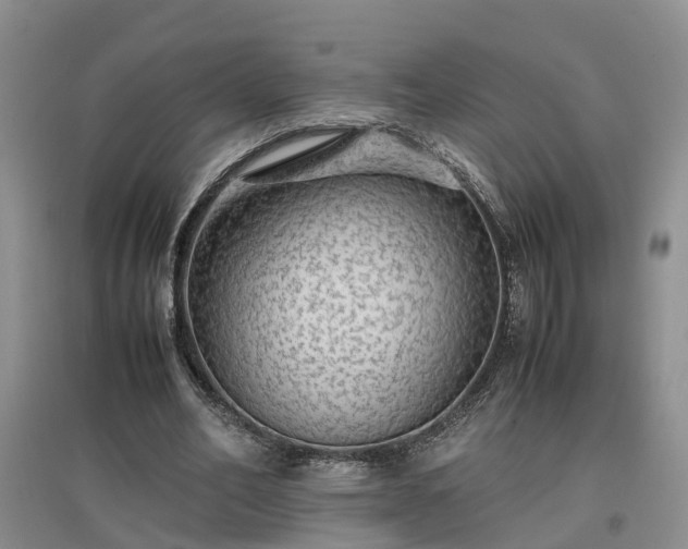 X0000097000582200802151416