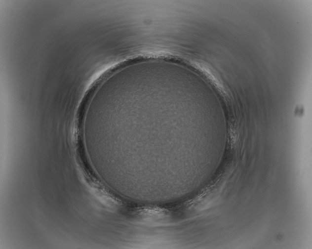 X0000097000583200802151416