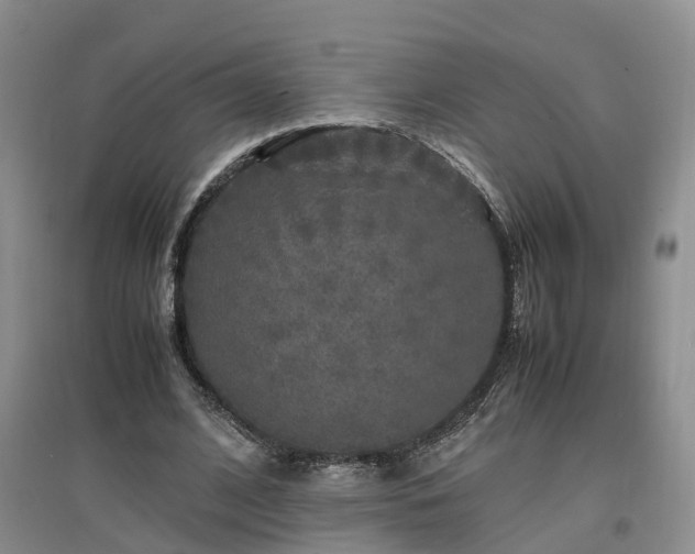 X0000097000584200802151416