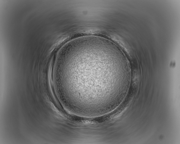 X0000097000585200802151416