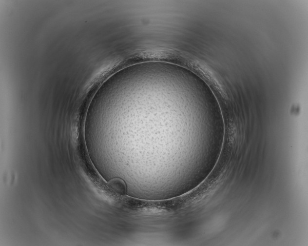X0000097000586200802151416