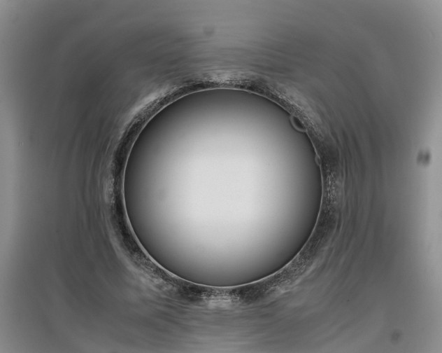 X0000097000587200802151416