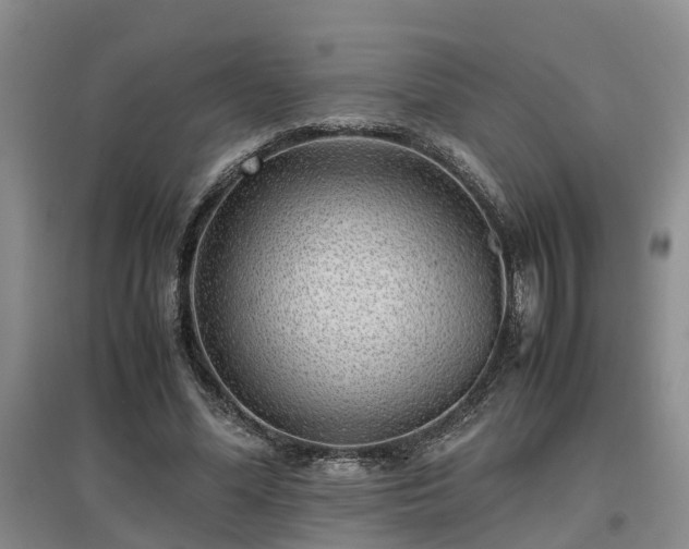 X0000097000588200802151416