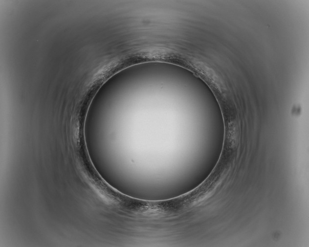 X0000097000589200802151416