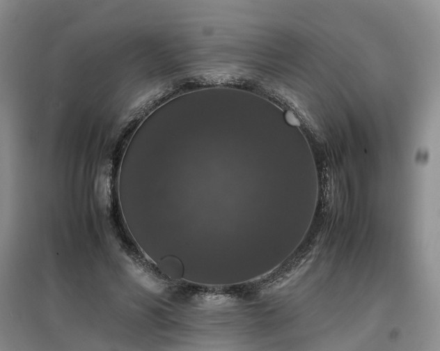 X0000097000590200802151416