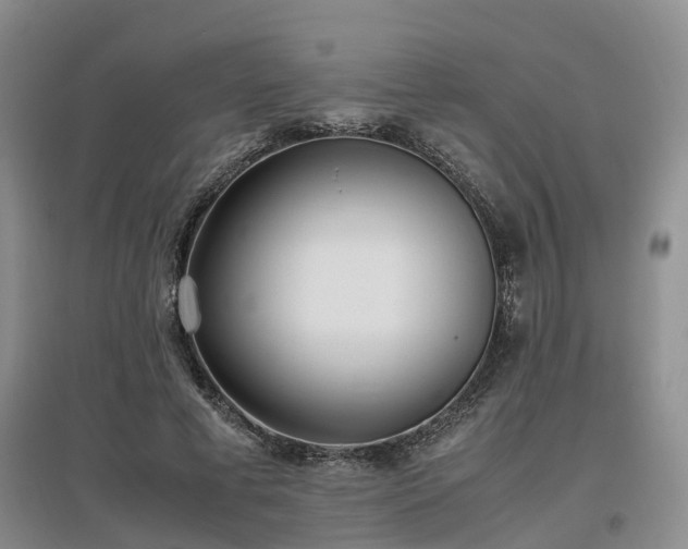 X0000097000593200802151416