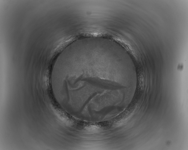 X0000097000594200802151416